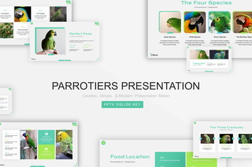 Parrotiers Presentation Template