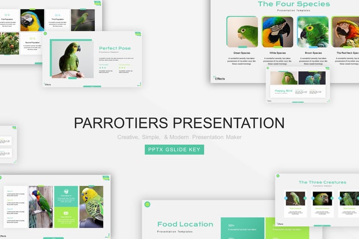 Parrotiers Presentation Template