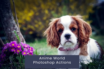 Anime World Photoshop Actions