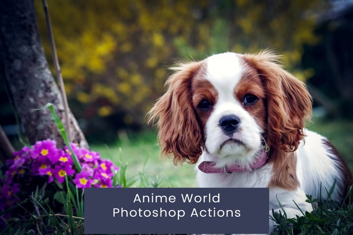 Anime World Photoshop Actions
