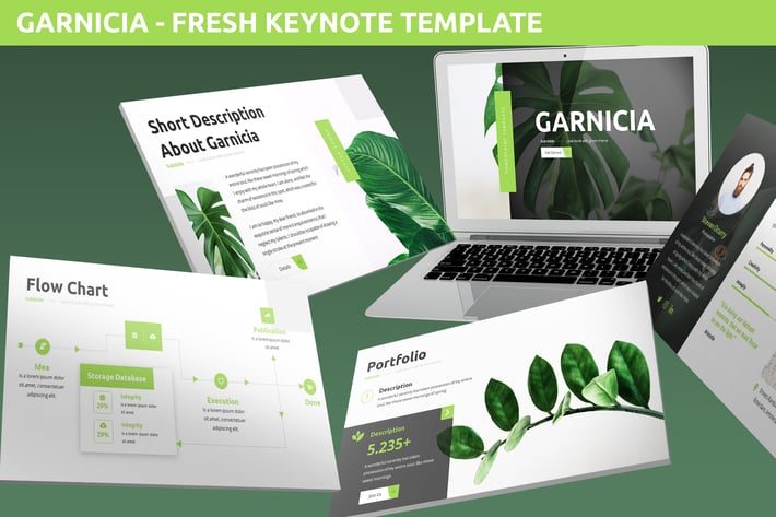 Garnicia - Fresh Keynote Template