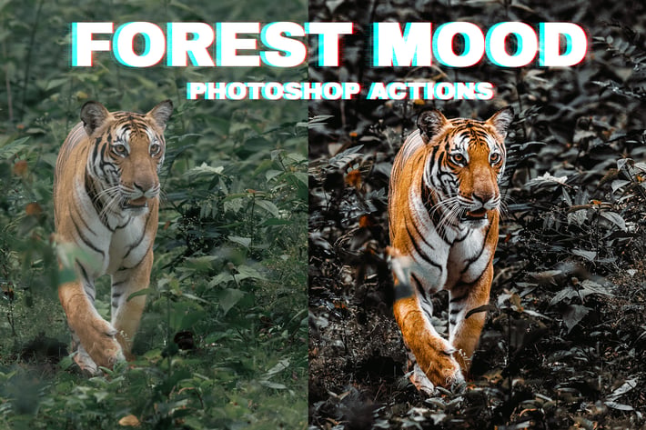 Forest Moody Photoshop Actions