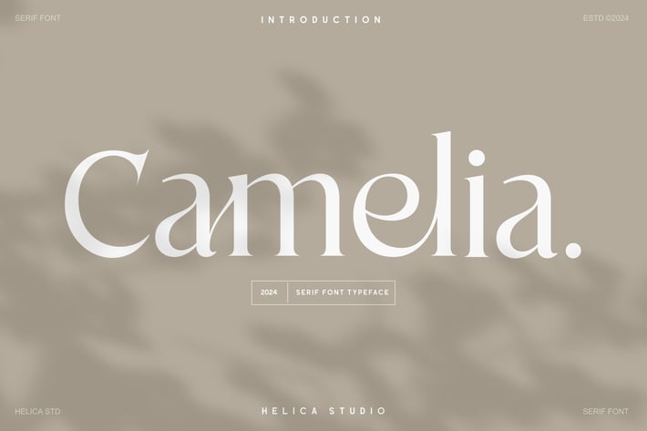 Camelia Modern Serif Font