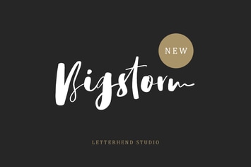 Bigstorm Script