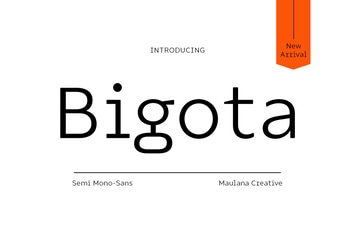 Bigota Mono Sans Font