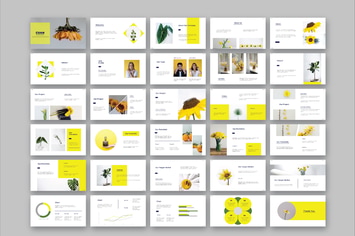 CUAN_PRESENTATION