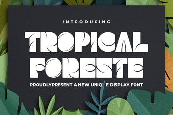 Tropical Foreste a New Unique Display Font