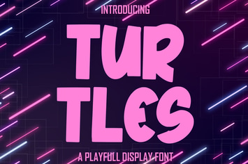 TURTLES a Playfull Display