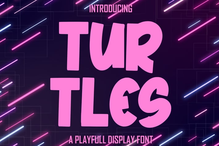 TURTLES a Playfull Display