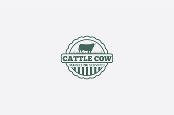 CATTLE COW