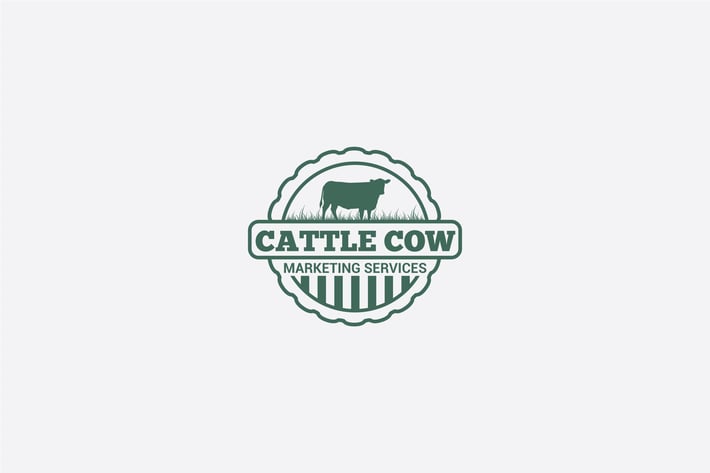 CATTLE COW