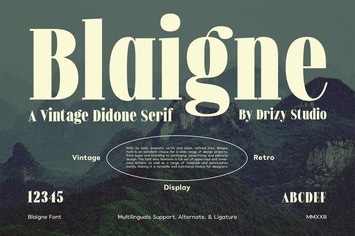 Blaigne - Serif Vintage Font