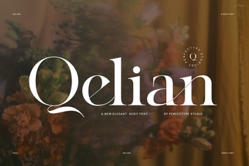 Qelian Elegant Serif Font Typeface