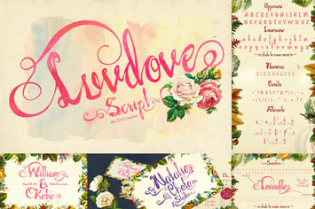 Luvdove Beautiful Script Font