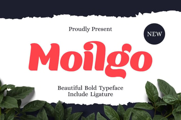 Moilgo - Beautiful Bold Font