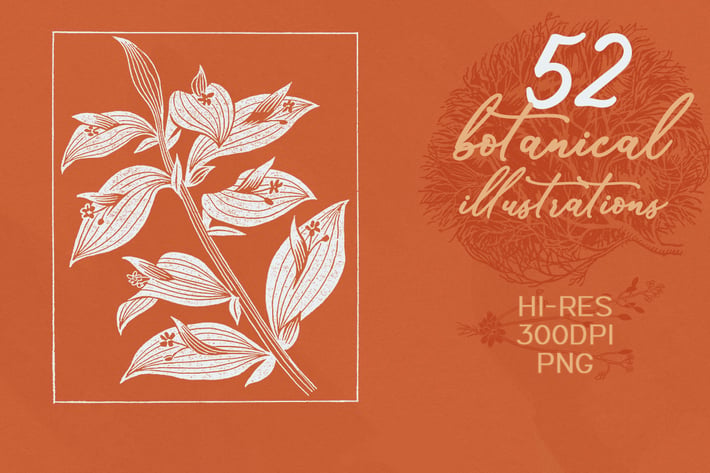 52 Botanical Illustrations