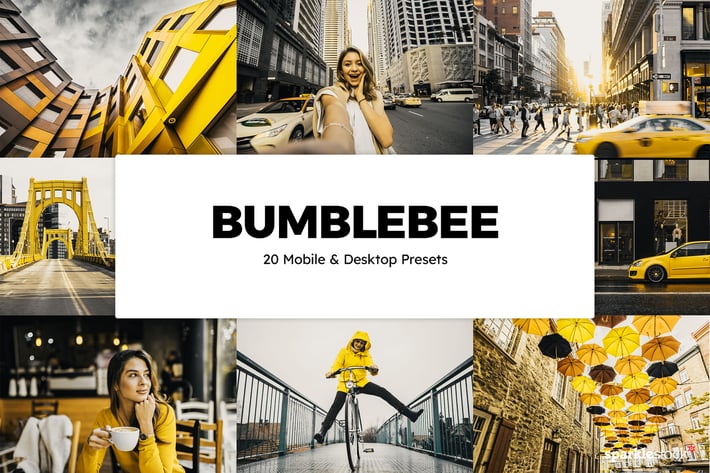 20 Bumblebee Lightroom Presets & LUTs