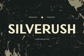 Silverush - Classic Elegant Sans Serif - Logo Font