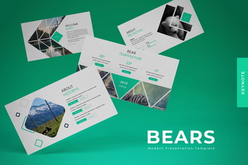 Bears - Keynote Template