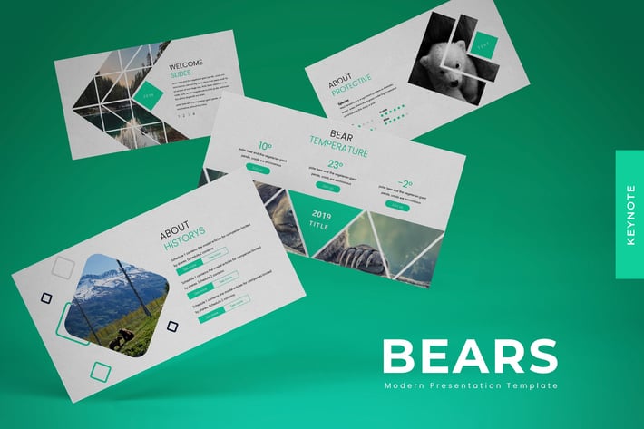 Bears - Keynote Template
