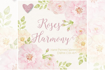 Watercolor Rose Blush design