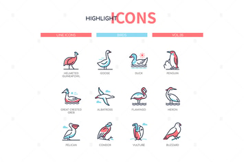 Bird species - modern line design style icons set