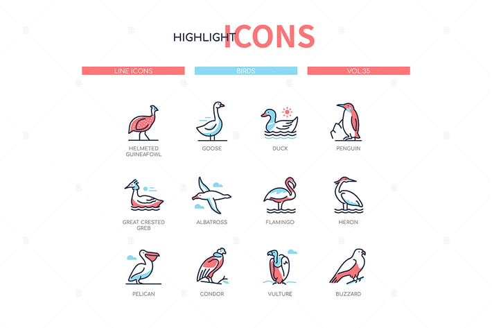 Bird species - modern line design style icons set