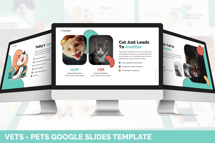 Vets - Pets Google Slides Template