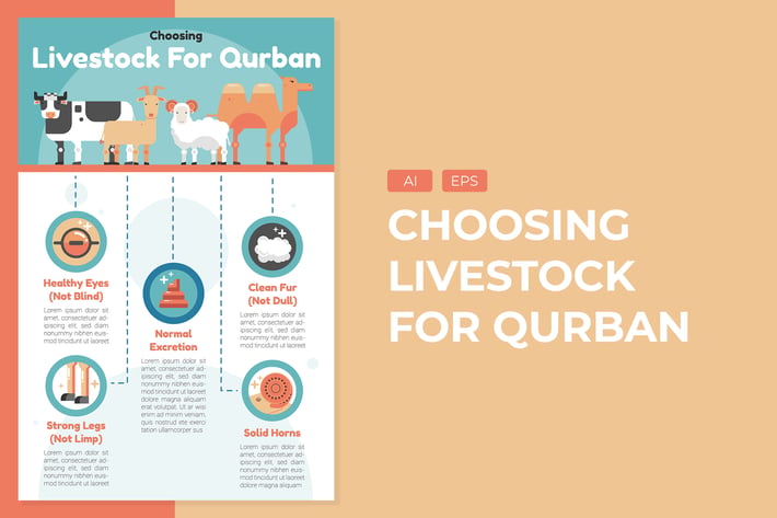 Choosing Livestock For Qurban - Infographic