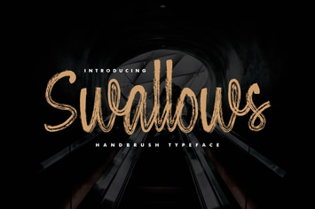 Swallows - Handbrush Typeface