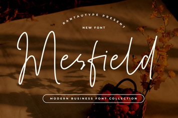Mesfield Handwritten Font