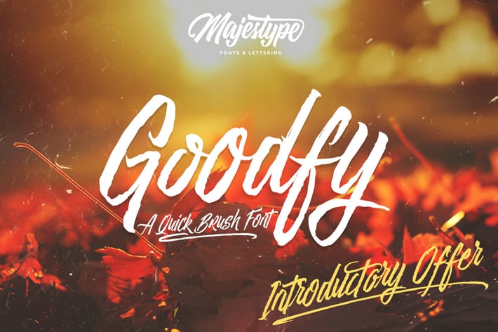 Goodfy Connected Version PRO