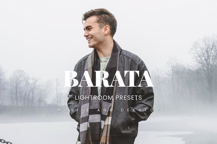 Barata Lightroom Presets Dekstop and Mobile