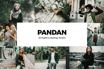 20 Pandan Lightroom Presets & LUTs
