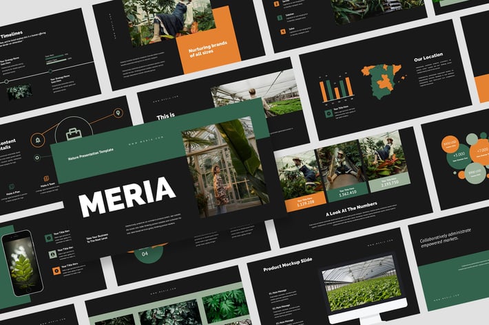 Meria : Landscape Business Keynote Templates