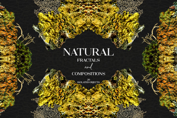 Natural Fractals and Compositions