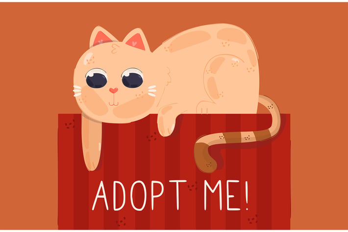 Cat Illustration