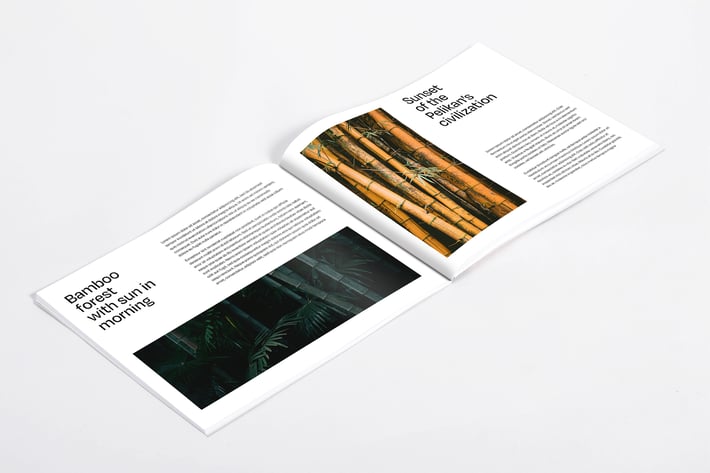 Horizontal US Catalog Mockup