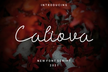 Caliova Script Font