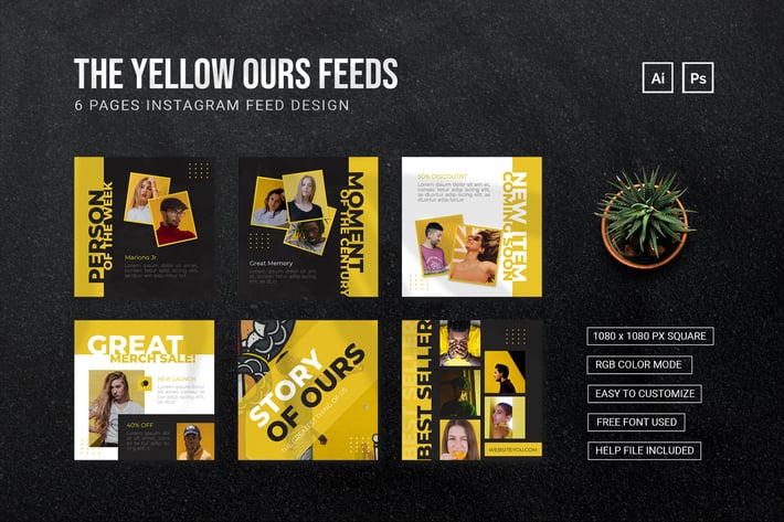 Yellow Ours - Instagram Feed