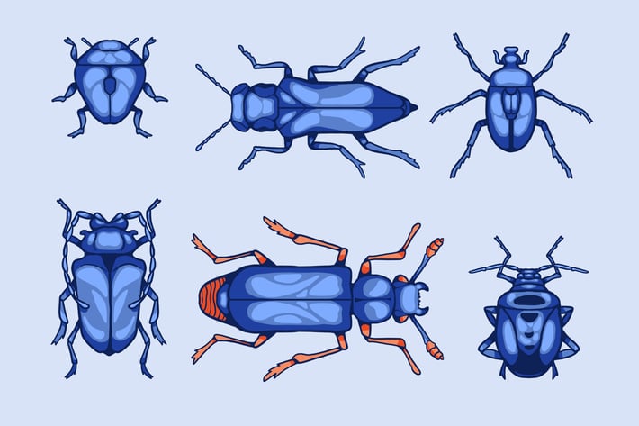 The Beetles Clipart