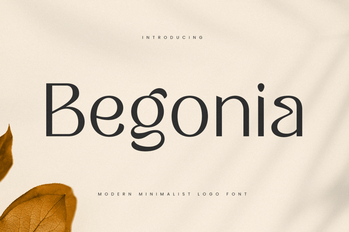 Begonia - Modern Minimalist Logo Font