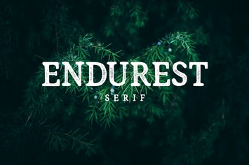 Endurest Font