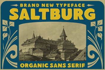 Saltburg - Organic Sans Serif