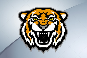 Tiger Head Mascot