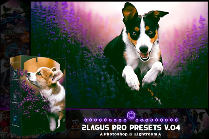 PRO Presets - V 04 - Photoshop & Lightroom
