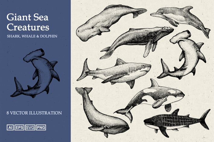 Giant Sea Animal Hand Drawn Illustration