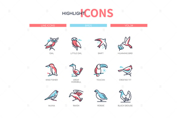 Bird species - modern line design style icons set