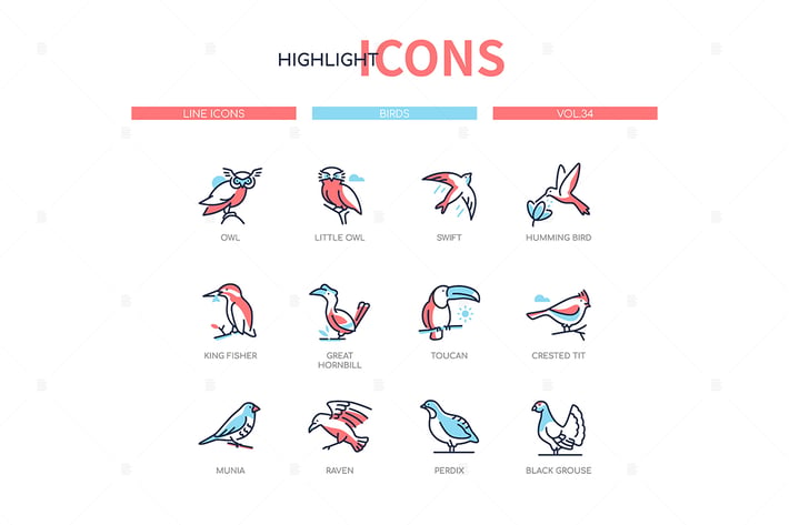 Bird species - modern line design style icons set