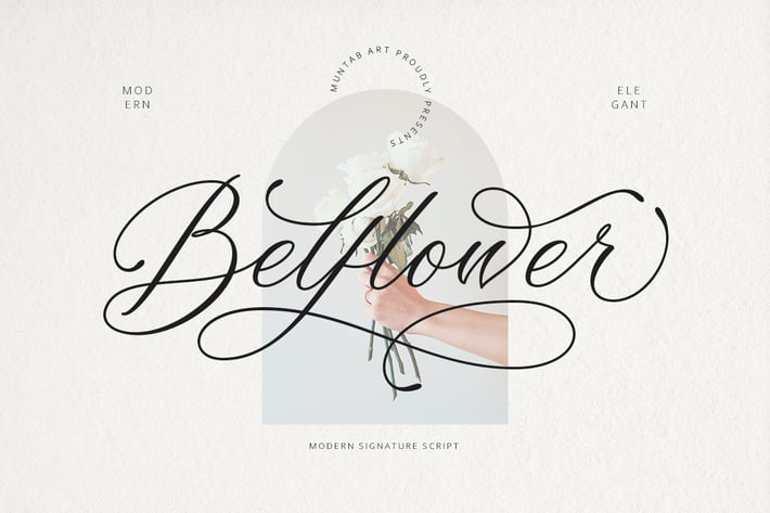 Belflower Script | Modern